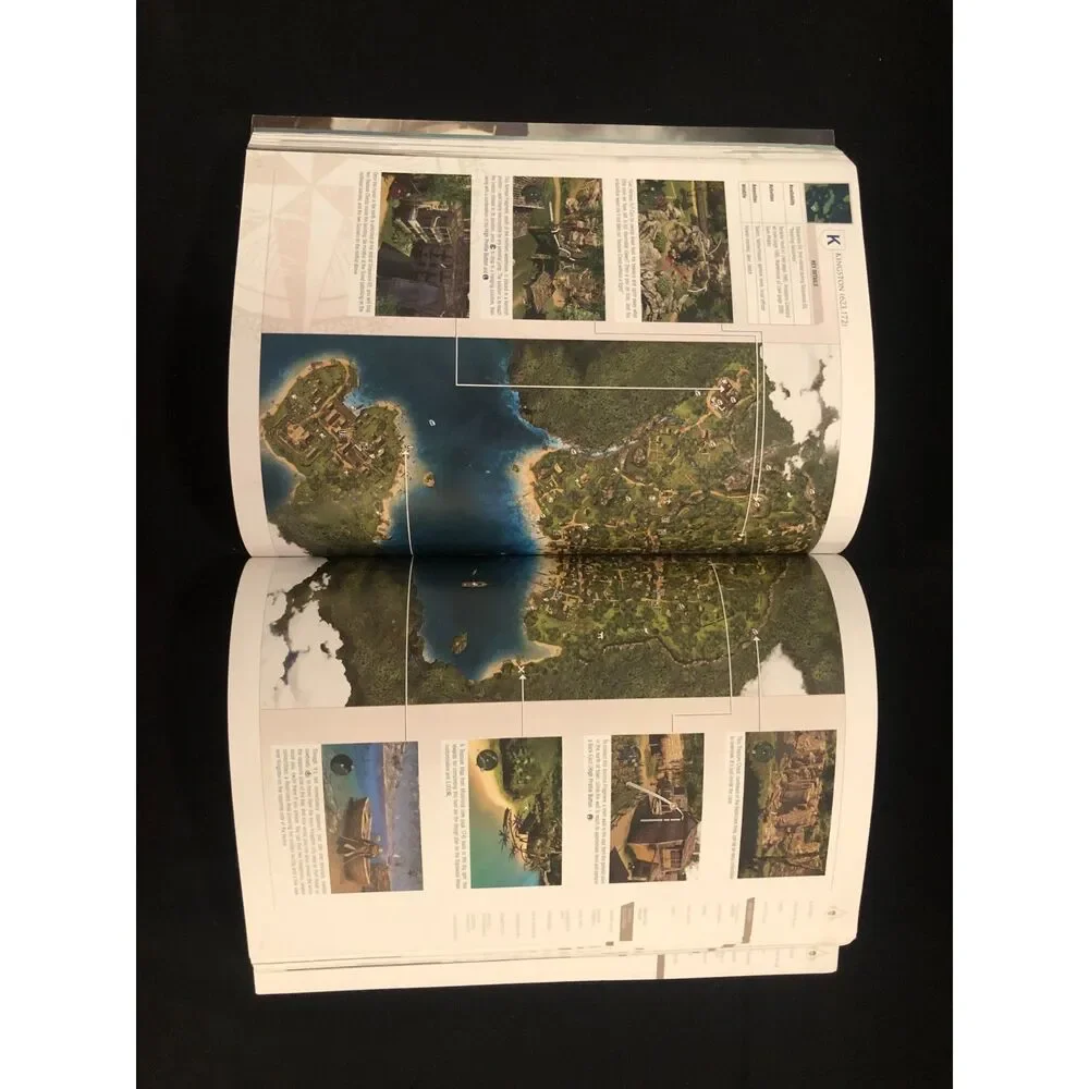 Assassin's Creed Black Flag Strategy Guide